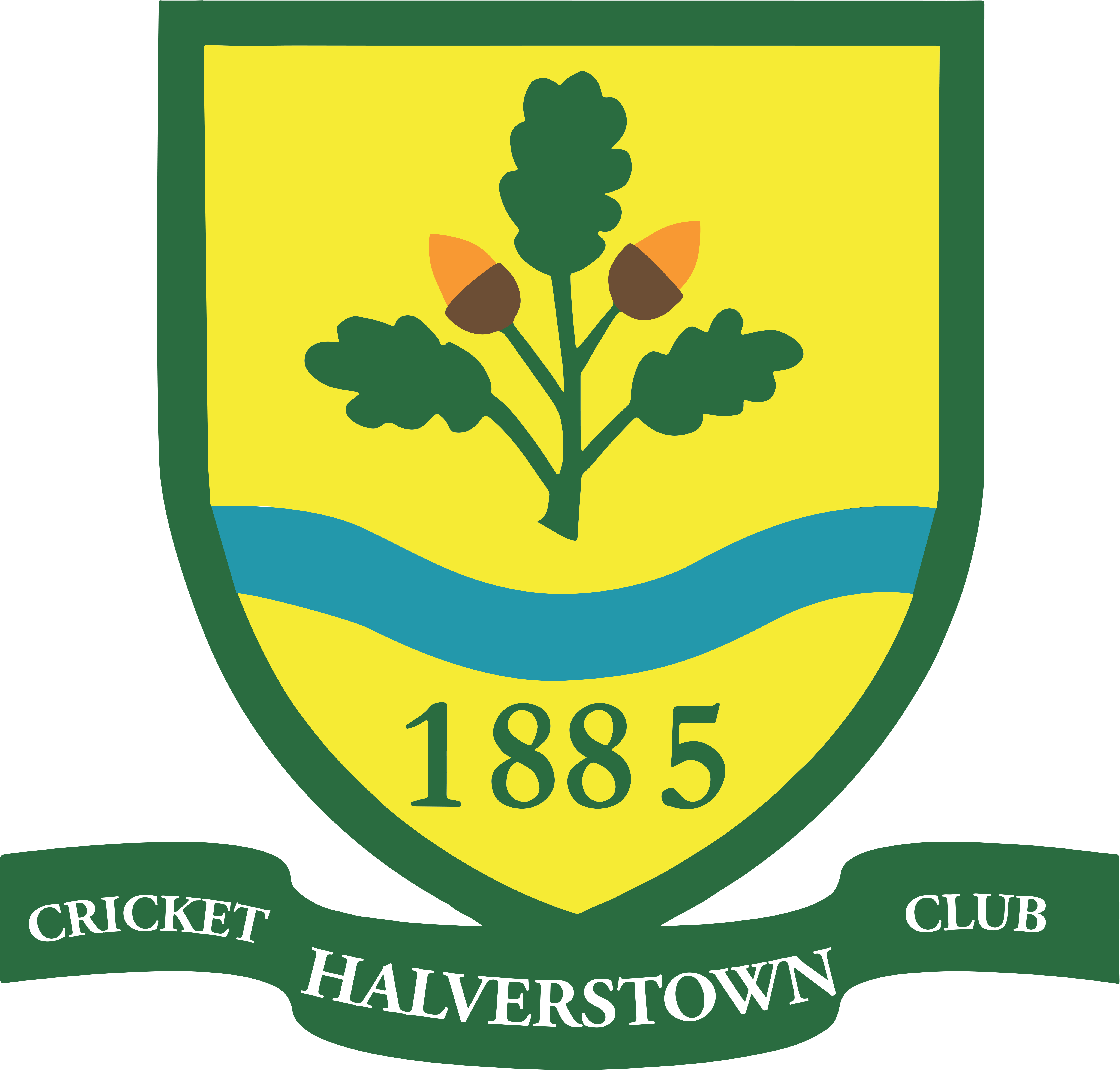 HalverstownCC